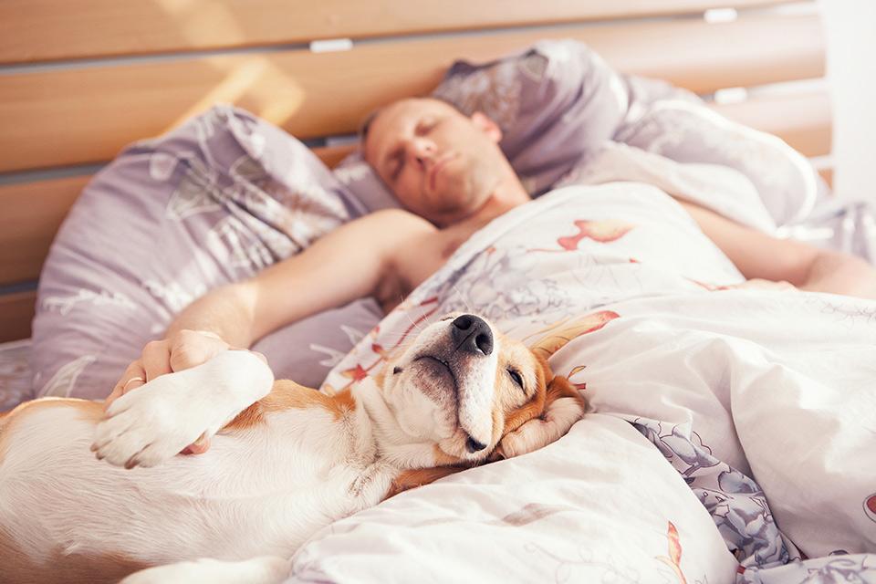 man sleeping with a dog
