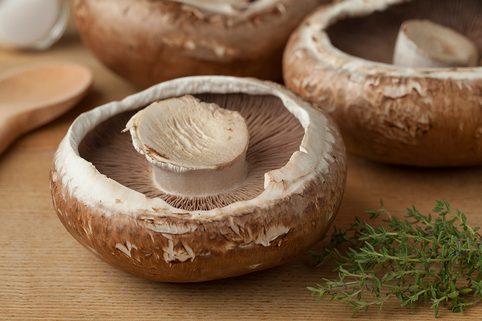 Food of the Month — Portobello Mushroom Denver Health Medical Plan