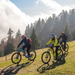 three people riding mountain bikes down a hill