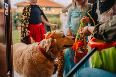 kids trick or treating