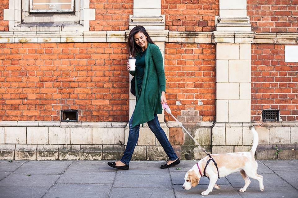 Woman walking a dog