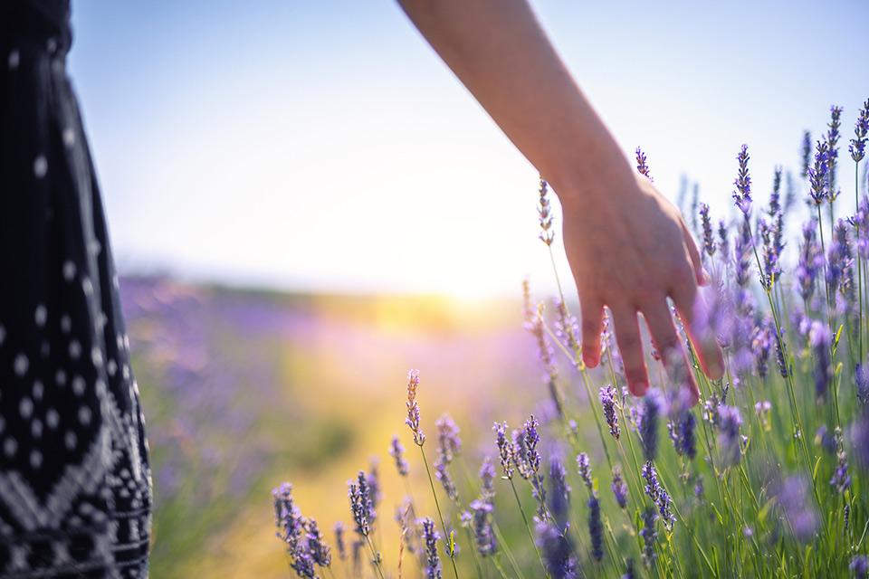 Woman walking in a field of flowers