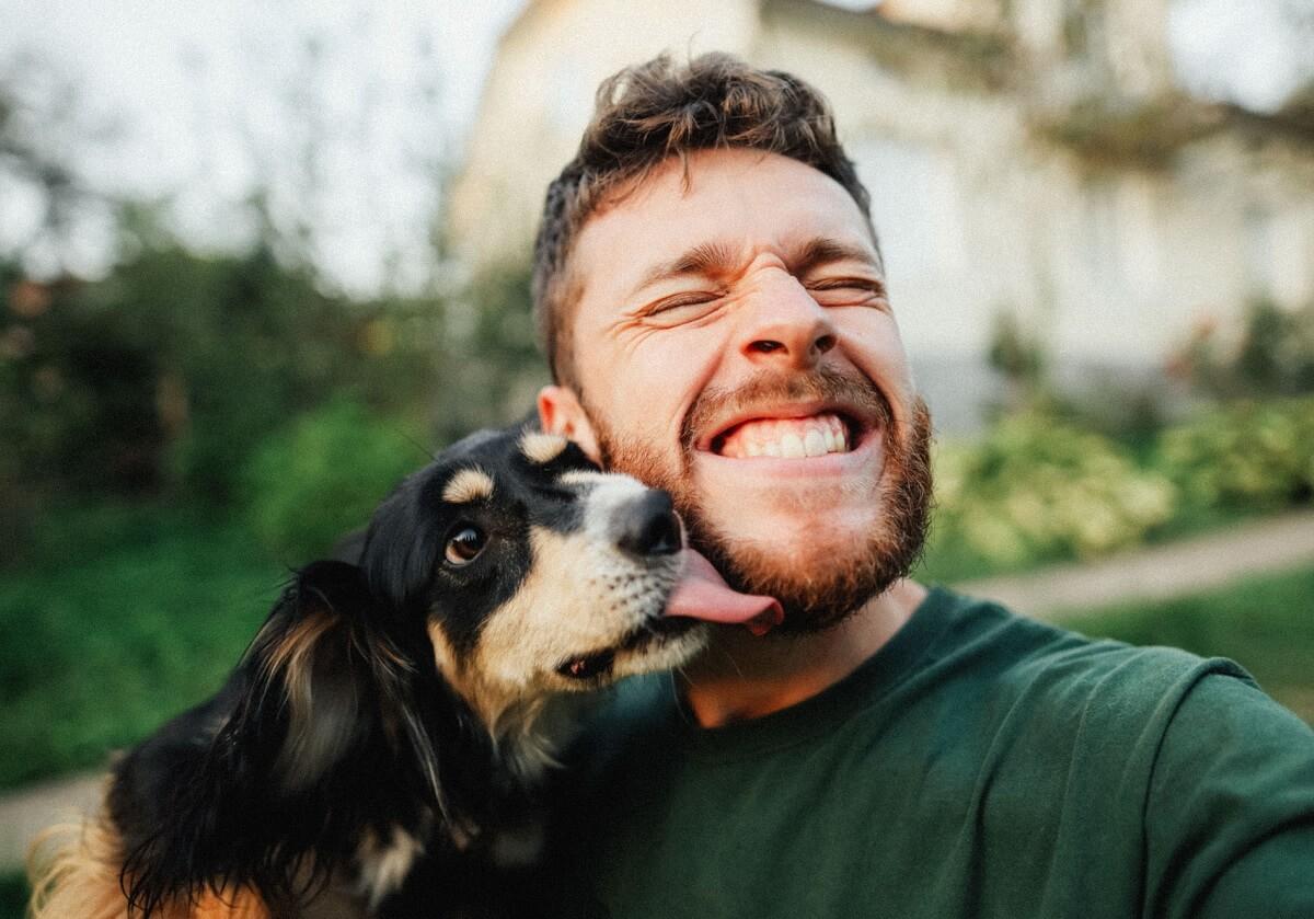 Photo of dog kissing smiling guy